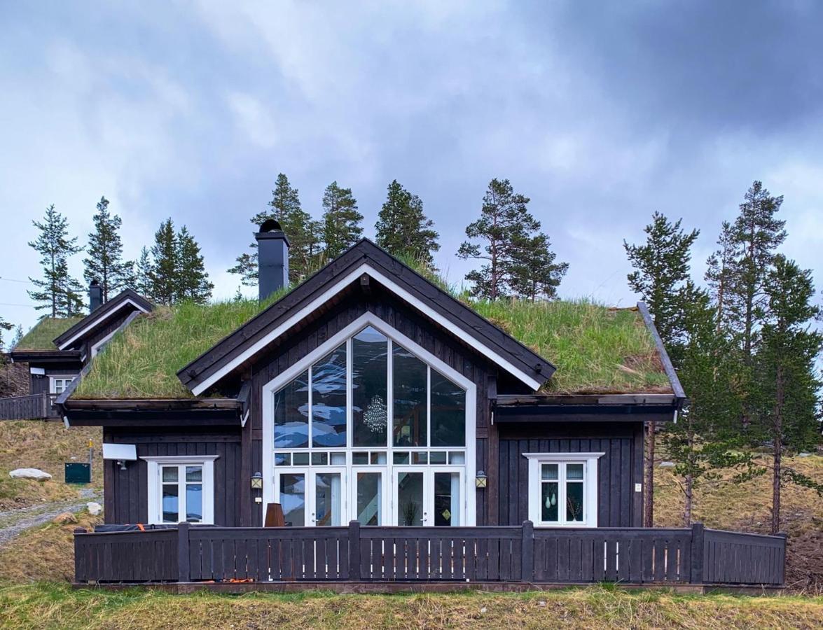 Villa Lemonsjoen-Jotunheimen-Besseggen Stuttgongfossen Exterior foto