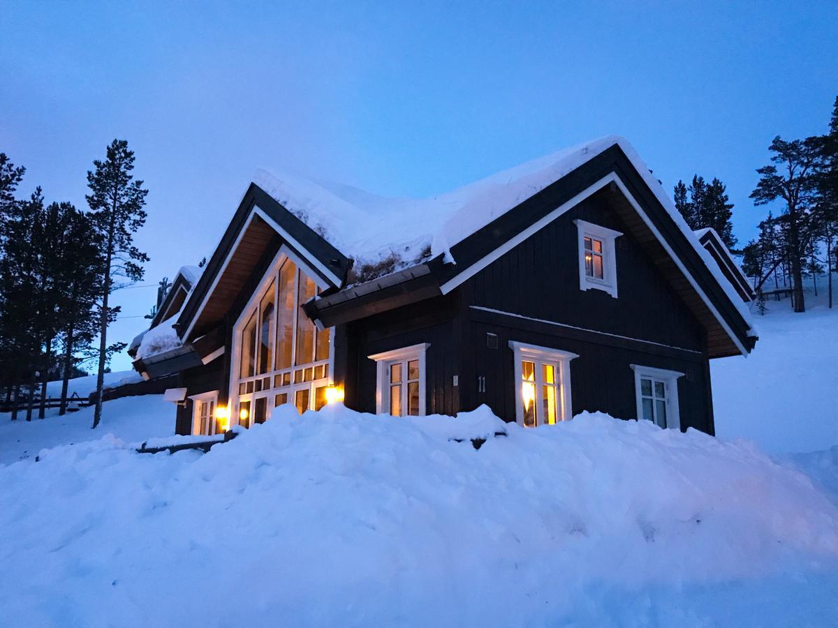 Villa Lemonsjoen-Jotunheimen-Besseggen Stuttgongfossen Exterior foto